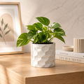 Hexagonal Big Planter