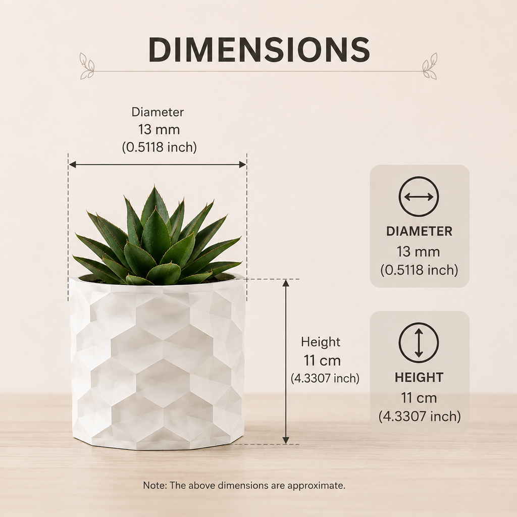 Hexagonal Big Planter